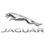 jaguar-150x150-1